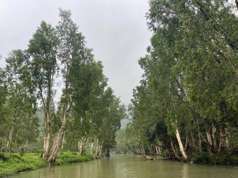 Conquer the Wild: The Ultimate Guide to Vietnam Mountain Bike Trails